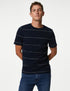 Pure Cotton Double Knit Striped T-Shirt
